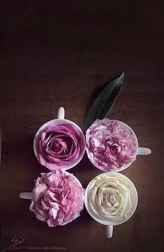 所有器具都能讓你的花藝很時髦