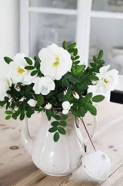 所有器具都能讓你的花藝很時髦