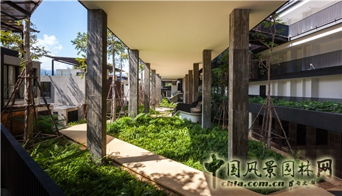 森林里的主題酒店--考艾度假酒店