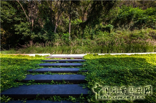 森林里的主題酒店--考艾度假酒店