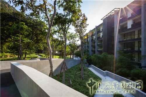 森林里的主題酒店--考艾度假酒店