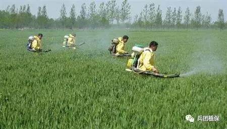 2017年全國植物保護工作要點