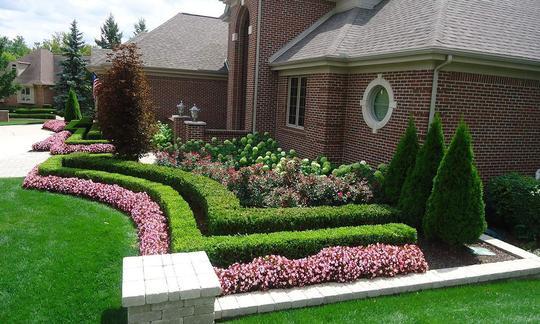 園林中不可或缺的存在——綠籬