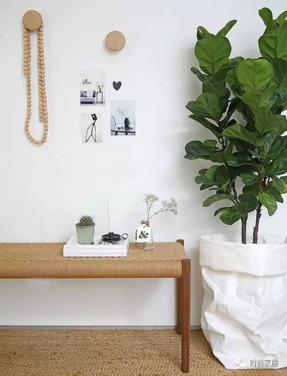 當植物碰到紙袋呈現想不到的效果