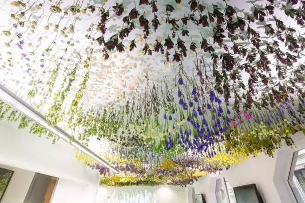 插花的色彩搭配做好了，你就成功了80%