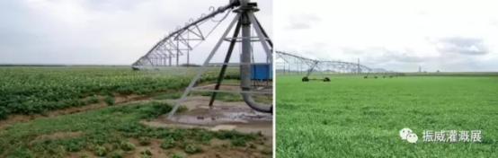 “京”益求精，“藍”出美好 京藍科技備戰(zhàn)中國最大灌溉展