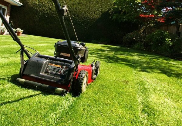 園林綠化高速發展 養護業務前景可期