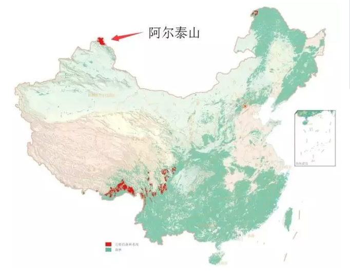 中國國家公園即將出爐,誰可以代表中國?
