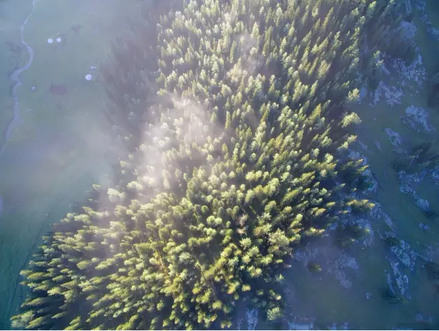 中國國家公園即將出爐,誰可以代表中國?