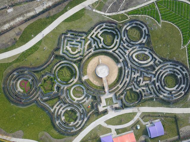 浙江省內(nèi)最大植物迷宮3月9日對外開放