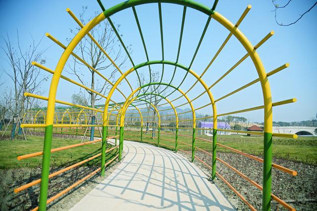 浙江省內(nèi)最大植物迷宮3月9日對外開放