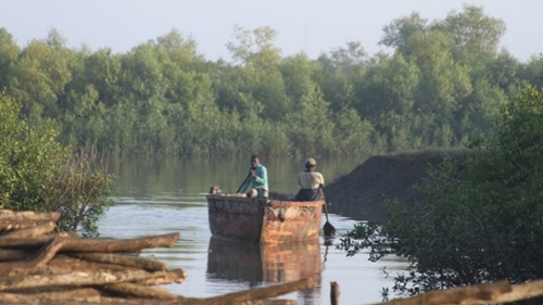 “智慧森林”戰略可帶來人文和環境效益