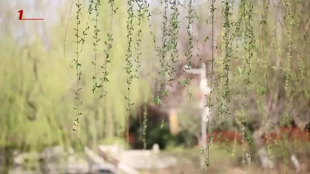 這城市根本就是座大園林!