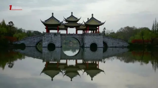 這城市根本就是座大園林!