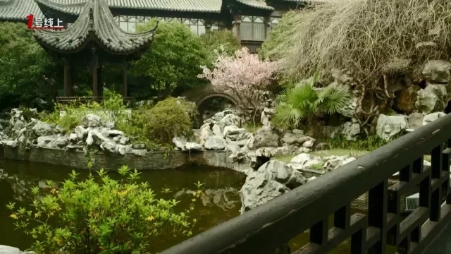 這城市根本就是座大園林!