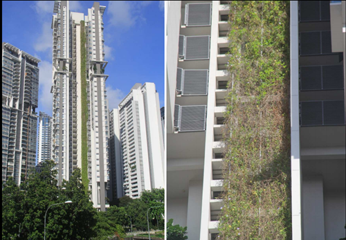 海綿城市與水生態(tài)水景觀國際論壇Tan Puay Yok教授演講實錄