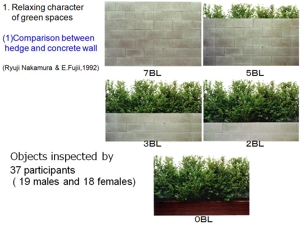 風景園林創新發展論壇藤本英二郎教授演講實錄
