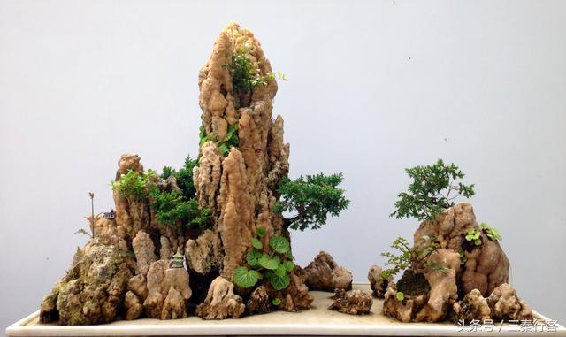 陜西第二大城市寶雞市的盆景園