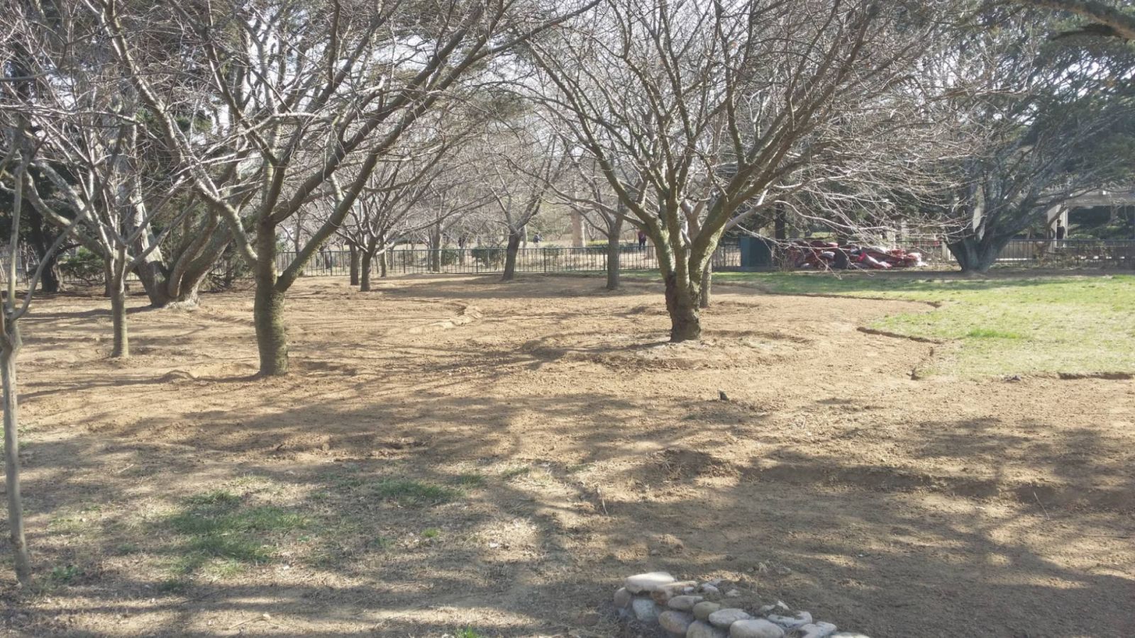 風景園林創新發展論壇史軍鵬先生演講實錄