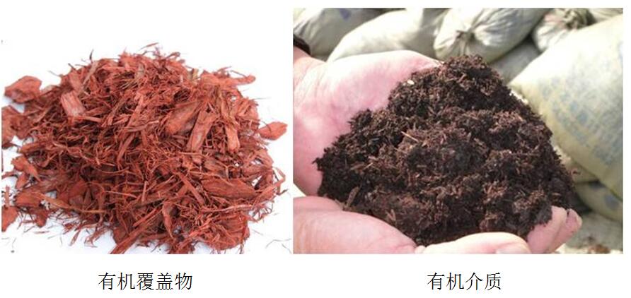 風景園林創新發展論壇史軍鵬先生演講實錄