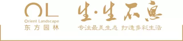 東方園林助力“一帶一路”項目環境治理