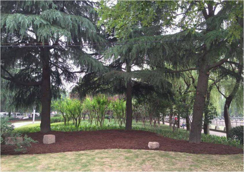 風景園林創(chuàng)新發(fā)展論壇史軍鵬先生演講實錄