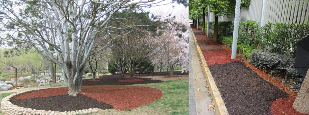 風景園林創(chuàng)新發(fā)展論壇史軍鵬先生演講實錄