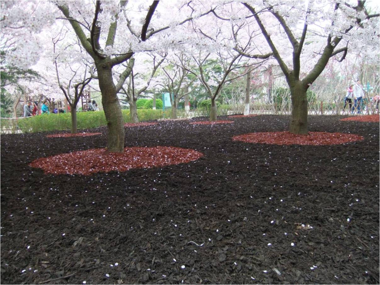 風景園林創(chuàng)新發(fā)展論壇史軍鵬先生演講實錄