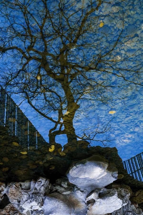 現代建筑與古典園林的結合