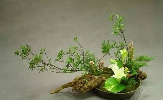 東方插花三大原則，構圖表現形式和十三要訣