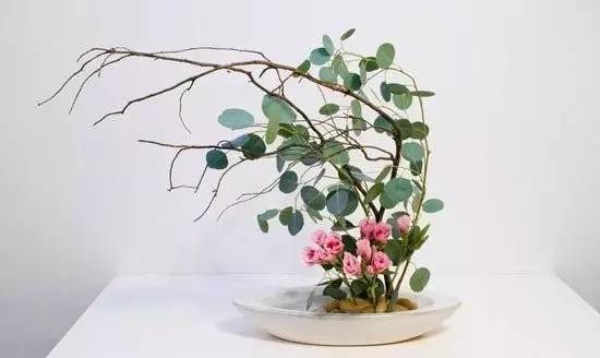 東方插花三大原則，構圖表現形式和十三要訣