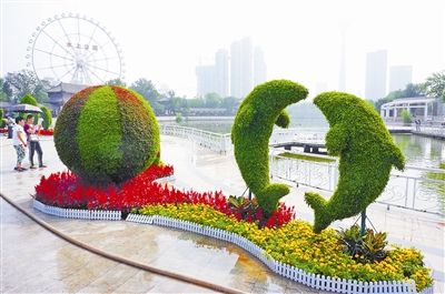 天津玩“花樣” 立體綠化美死你