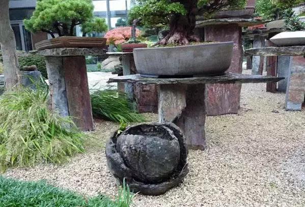 盆景——從園林中走出來的造型藝術