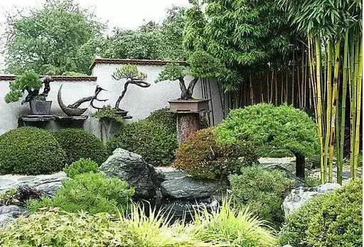 盆景——從園林中走出來的造型藝術