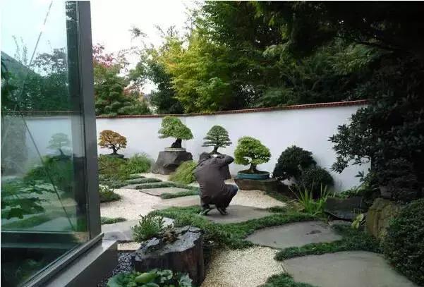 盆景——從園林中走出來的造型藝術