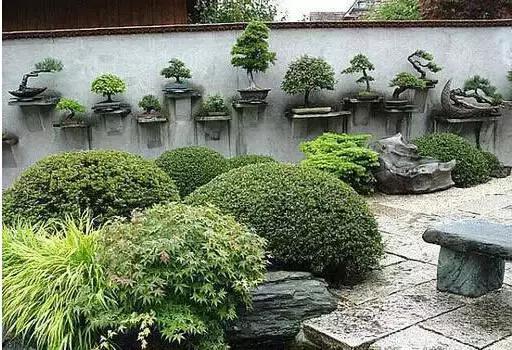 盆景——從園林中走出來的造型藝術(shù)