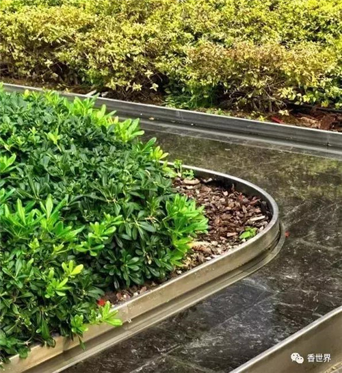 使園林妙趣橫生的園林小品