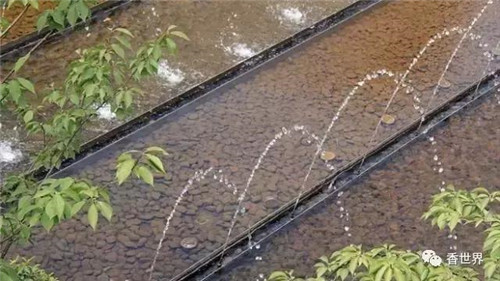 使園林妙趣橫生的園林小品