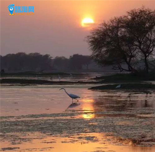 被遺忘的10大印度世界文化和自然遺產(chǎn)