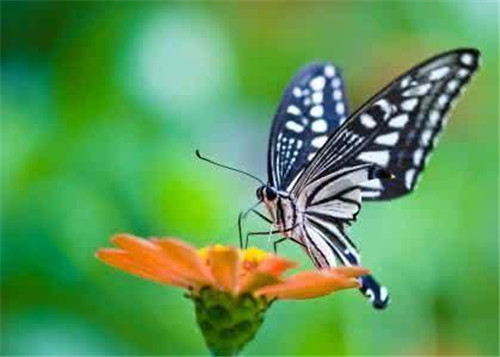 陜西黃陵國家森林公園科普科普教育基地