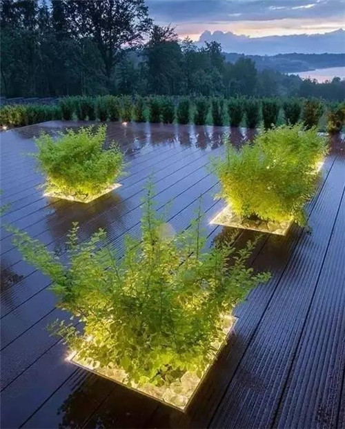 景觀照明中，植物的運用竟如此講究