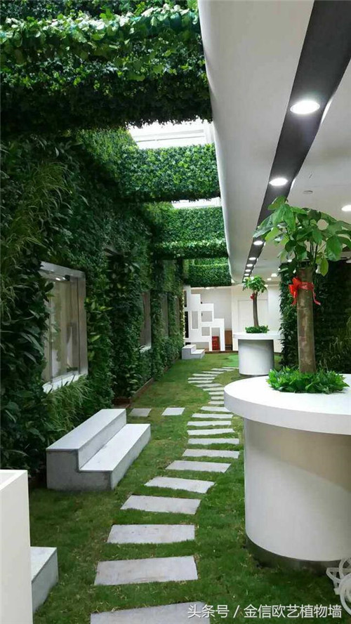 立體綠化植物墻為何這么受歡迎?