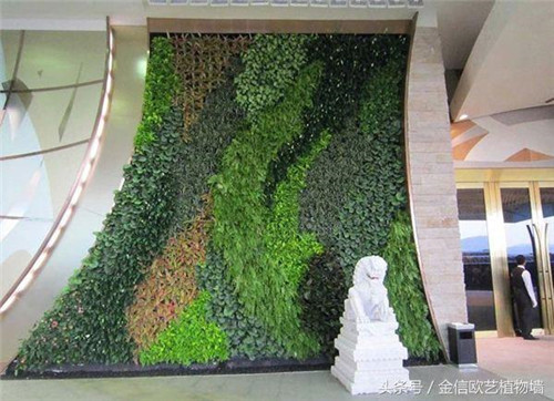 立體綠化植物墻為何這么受歡迎?