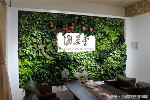 立體綠化植物墻為何這么受歡迎?