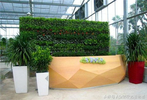 立體綠化植物墻為何這么受歡迎?