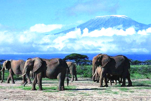 你不知道的國(guó)家公園的前世今生（組圖）