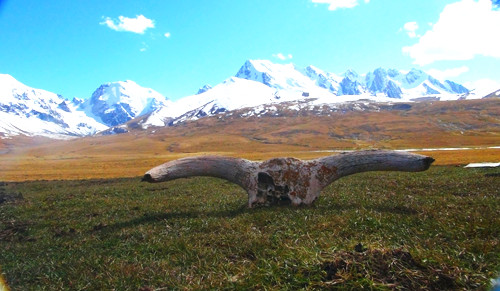 你不知道的國(guó)家公園的前世今生（組圖）