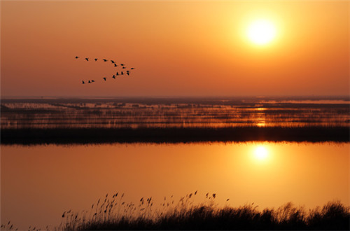 我國東部沿海保存最為完好的生態(tài)區(qū)之一