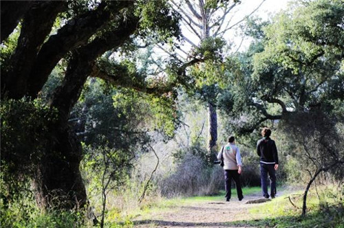 西班牙世外桃源——多南那國家公園