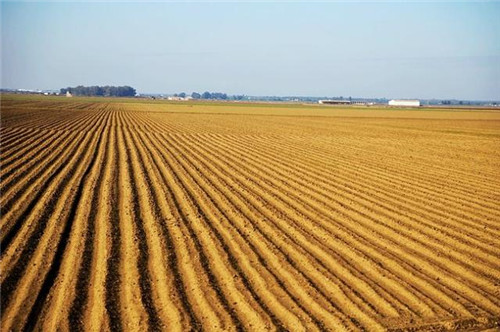 西班牙世外桃源——多南那國家公園